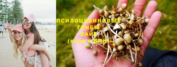 прущие крисы Алзамай